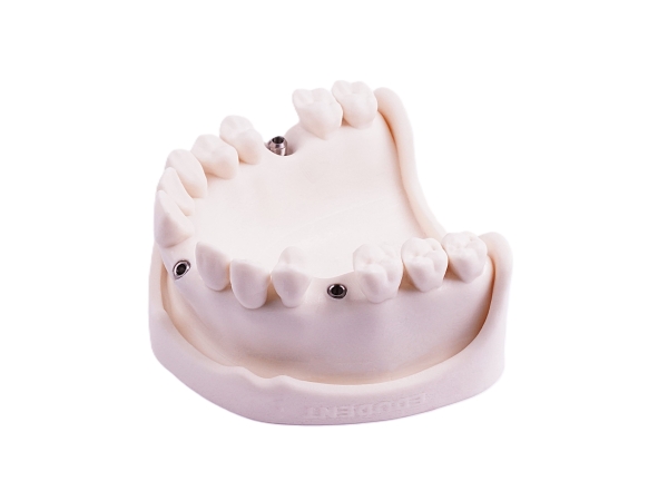 Periodontics