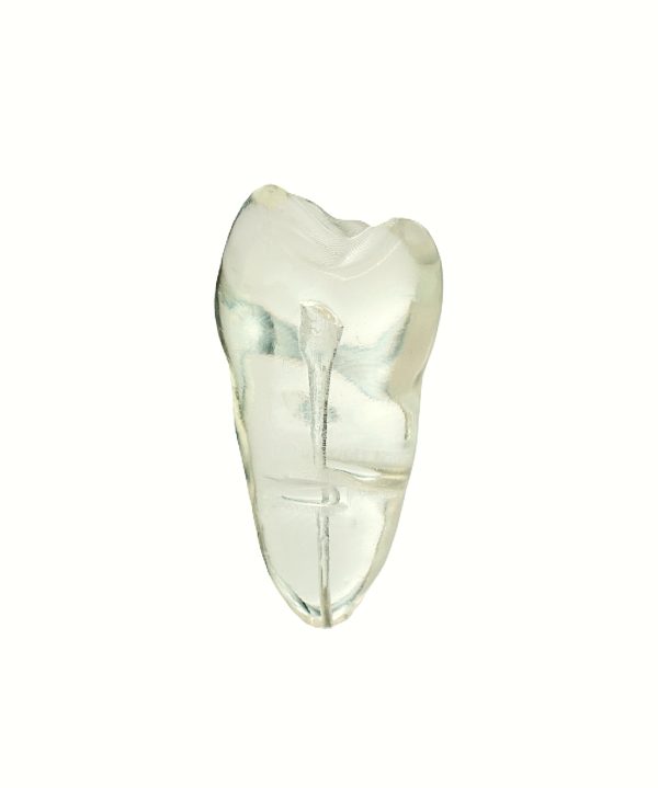 EndoPrep® One Tooth