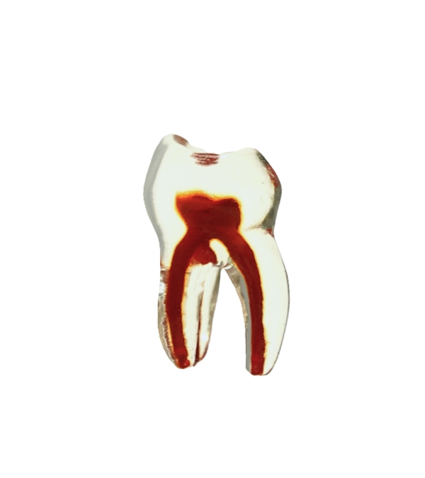 PedoPrep® One Tooth