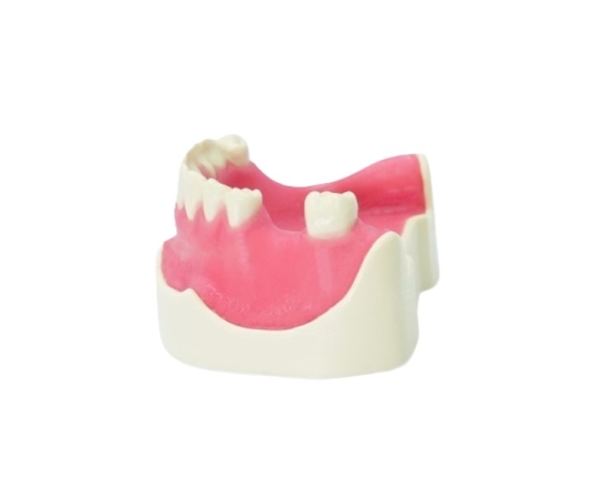 Surgical Models